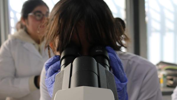 imagen “Vacaciones con Ciencia” despierta el interés en las ciencias en niñas, niños y estudiantes