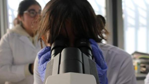 imagen “Vacaciones con Ciencia” despierta el interés en las ciencias en niñas, niños y estudiantes