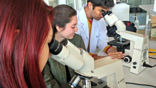 imagen Facultad de Química y Biología fortalece su vínculo con colegios