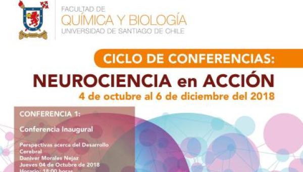 imagen “La idea es generar una vinculación con una comunidad interesada en la neurociencia y, a la vez, darle mayor visibilidad al área de neurociencia de la Universidad de Santiago”