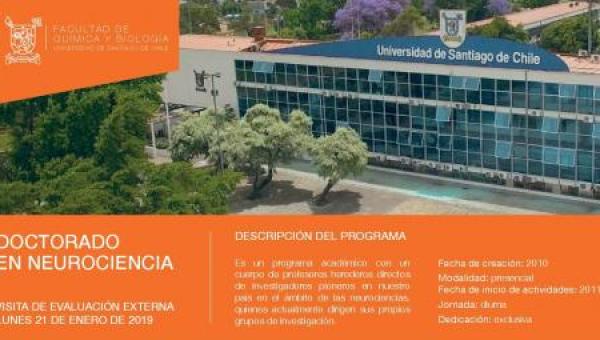 imagen Doctorado en Neurociencia preparado para nuevo proceso de acreditación