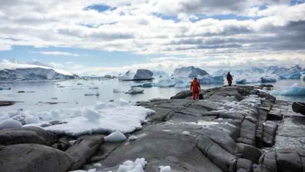 imagen Investigadores participan  en primer estudio que medirá respuesta bioquímicas y moleculares de macroalgas antárticas al cambio climático