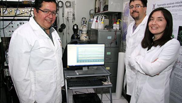 imagen Doctorado en Neurociencia acreditado por seis años