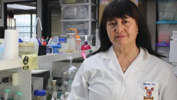 Dra. Ortíz: “La diversidad de miradas es fundamental para enriquecer la ciencia” 
