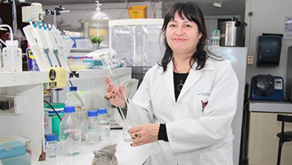 imagen Investigadores crean solución para controlar contaminación provocada por relaves mineros