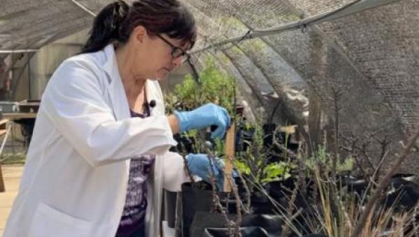 Dra. Claudia Ortiz aborda el asombroso y desconocido mundo de las plantas en segunda temporada del podcast Ciencia Snack