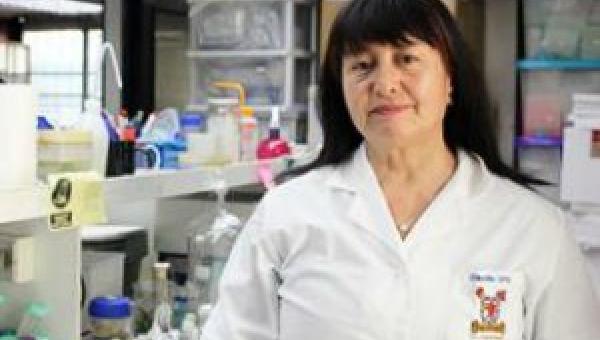 imagen Investigadora presenta tecnología enfocada en recuperar terrenos con relaves mineros