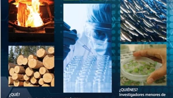  Concurso de Financiamiento de Proyectos de I+D aplicada para Investigadores Jóvenes