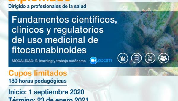 imagen Primer diplomado universitario en Chile abordará aspectos clínicos, tecnológicos y legales del Cannabis