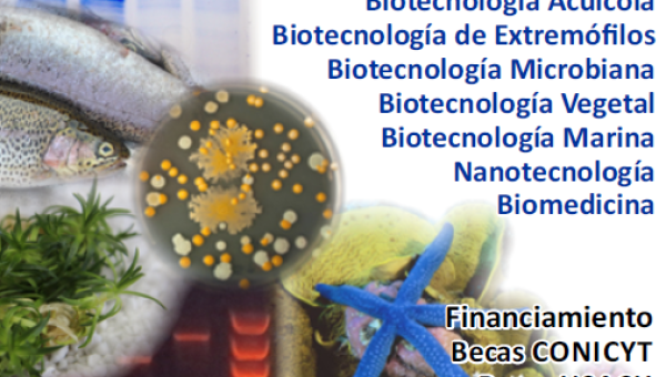 Formando científicos para dar solucionar a problemas biotecnológicos
