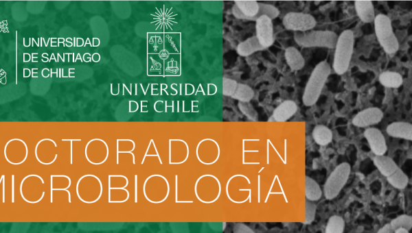Doctorado Conjunto en Microbiología retoma su proceso de Acreditación en modalidad remota