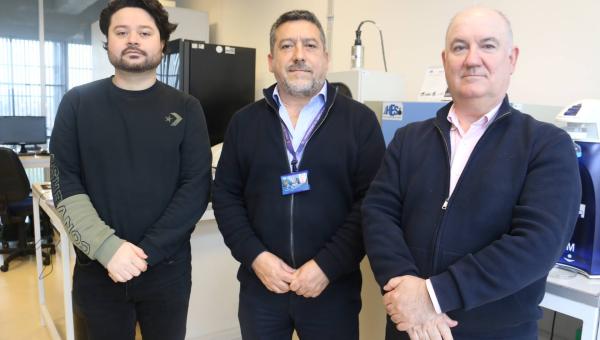 Curso de Magnetismo y Materiales de Base Molecular culmina con éxito en la Facultad de Química y Biología