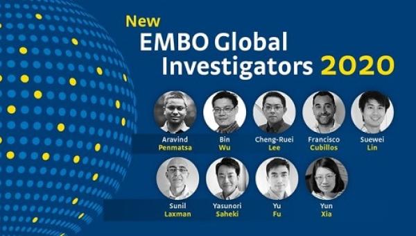 imagen Investigador de U. de Santiago fue reconocido por la Organización Europea de Biología Molecular