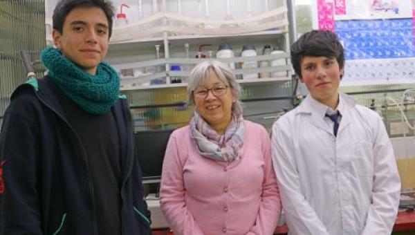 imagen “Hemos tenido la oportunidad de aprender y explorar otro lado de la ciencia”