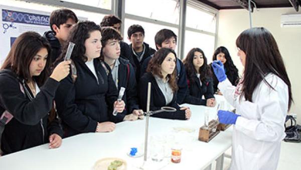 Destacados estudiantes diseñarán proyectos científicos en la Facultad de Química y Biología