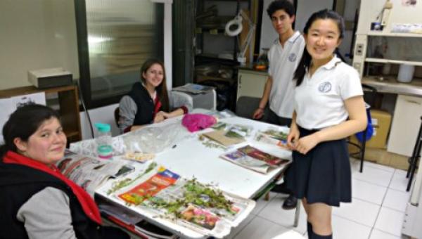 imagen Quinta Feria Científica del Colegio Alexander Fleming concluye con participación de la FQyB y premiación a primeros lugares