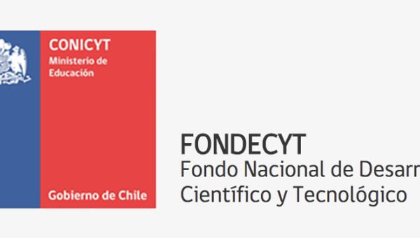 imagen Destacado aumento en adjudicación de investigadoras refleja resultados de Concurso Fondecyt Regular 2020