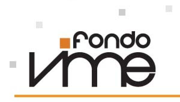 imagen Convocatoria FONDO VIME 2021