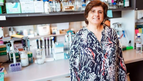 imagen Dra. Mónica Imarai recibe premio a la trayectoria entregado por la Sociedad de Inmunólogos de Chile