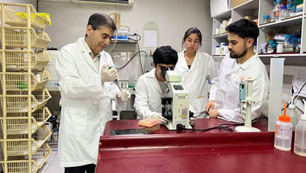 imagen Investigadores desarrollan producto para controlar a fitopatógeno agresivo que daña los cultivos agrícolas