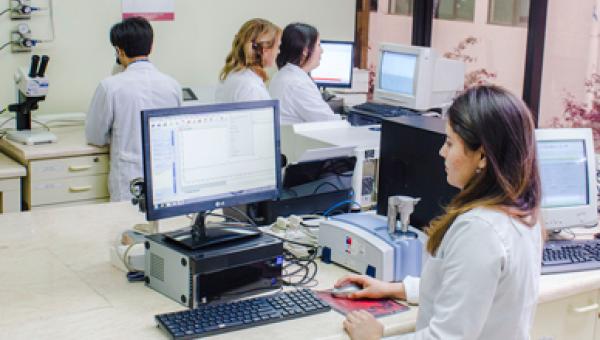 U. de Santiago se adjudica dos Anillos de Investigación en Ciencia y Tecnología