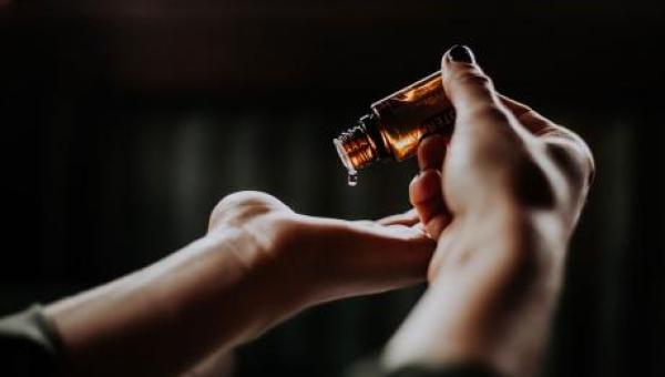 imagen Exitoso inicio tuvo Diplomado sobre uso medicinal de fitocannabinoides