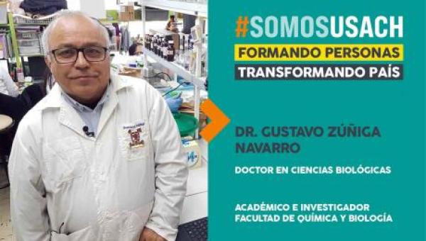 imagen Dr. Gustavo Zúñiga, doctor en Ciencias Biológicas y académico de la Facultad de Química y Biología: “Sin investigación no hay Universidad”