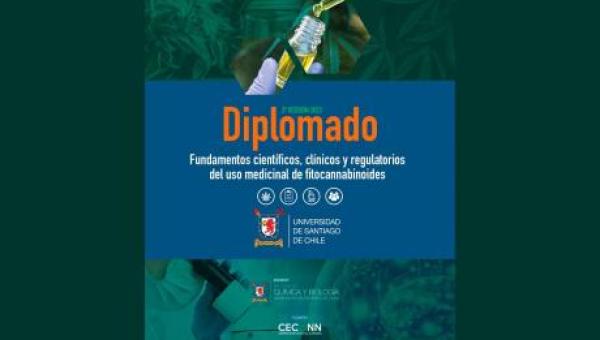 imagen Diplomado en Uso Medicinal de Fitocannabinoides de la Facultad de Química y Biología iniciará su tercera versión