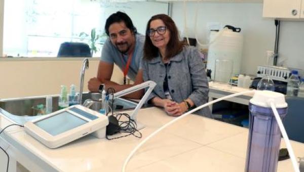 imagen Investigadores del Cedenna crean material que filtra el arsénico del agua