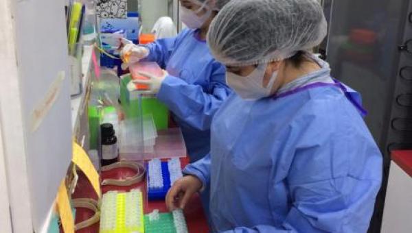 imagen U. de Santiago incrementa capacidad de diagnóstico COVID-19 con incorporación de nuevo laboratorio