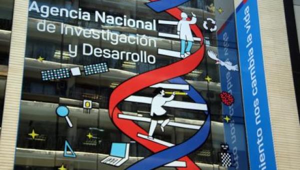 imagen Académicas Usach se adjudican Fondos de Investigación Científica COVID- 19 del Ministerio de Ciencia y ANID