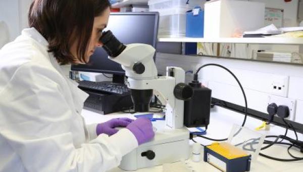 imagen U. de Santiago respalda a la red de salud del país mediante ejes de colaboración científica y tecnológica