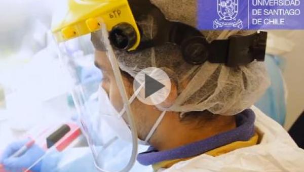 imagen Laboratorio de Virología Usach analiza 1.500 muestras para la detección de COVID-19, en menos de un mes de pruebas
