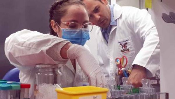 imagen Colaboración entre la Usach y empresa Veterquímica logra desarrollo de vacuna que combatirá mortal virus en peces