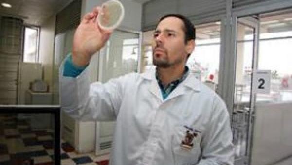 imagen Industria porcina se beneficia con vacuna ideada en el Plantel