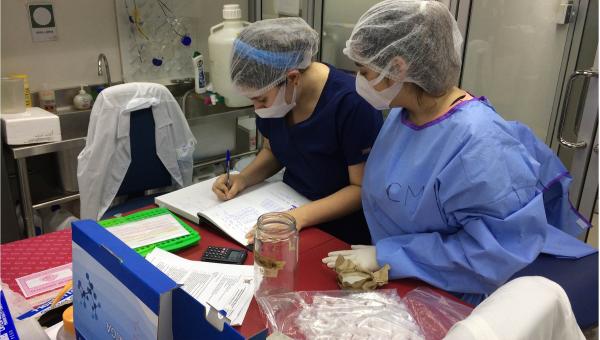 imagen Universidad de Santiago superó los 60 mil análisis de diagnóstico COVID-19