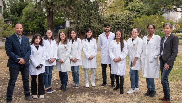 Salmonicultura chilena: Usach impulsa investigación clave para proteger la industria nacional ante enfermedades virales