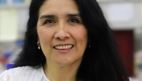 imagen Dra. Gloria Levicán Jaque: “Desde ese herbario supe que sería científica para siempre”