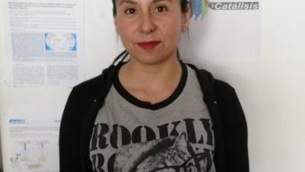 imagen Estudio publicado en prestigiosa revista internacional propone nuevos caminos para la construcción de sistemas de conversión de energía