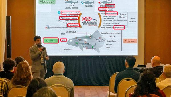 imagen Hallazgos de investigador Usach abre nuevas rutas para mejorar la salud en salmones afectados por Enfermedad Branquial Compleja