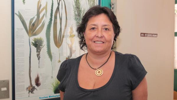 Aplicación biotecnológica apunta a mejorar suelos y se proyecta como solución para industria agrícola y forestal