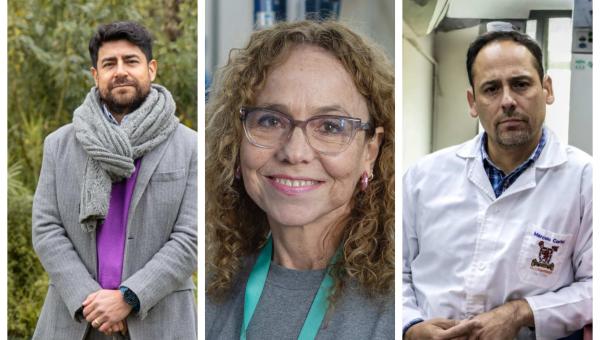 Investigadores de la Facultad de Química y Biología integran grupo de estudio de Fondecyt en Salud y Producción Animal