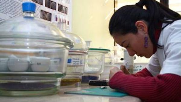 U. de Santiago adjudica 12 proyectos I Etapa Cuarto Concurso de Valorización de la Investigación en la Universidad 