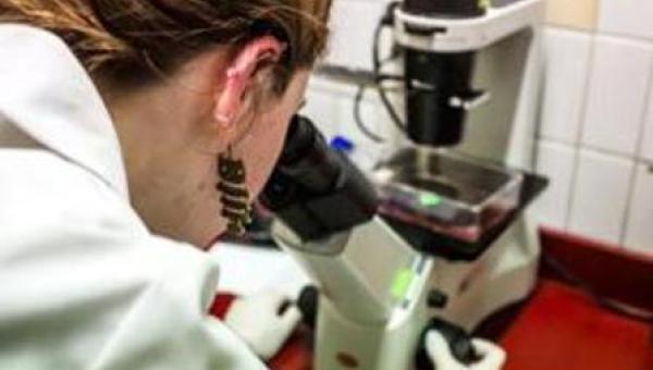 Universidad se adjudica más de 571 millones de pesos para equipamiento científico