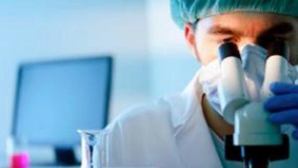 imagen U. de Santiago ofrece curso sobre el uso farmacológico de cannabinoides