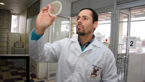 imagen Usach aporta a la industria acuícola con innovadora vacuna que controla patógeno PRV en salmones