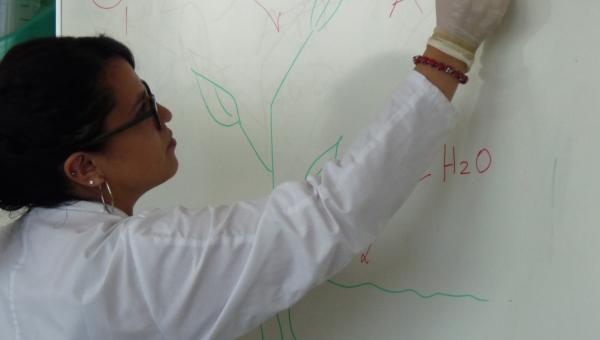 Proceso de acreditación de Pedagogía en Química y Biología culmina redacción de informe de autoevaluación