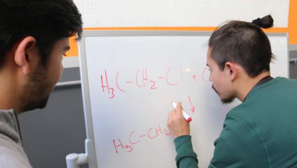 imagen Ingreso a Pedagogías: Valoración social y necesidad del país