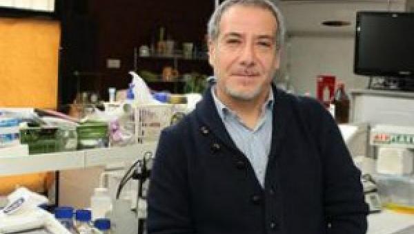 imagen Experto advierte el riesgo de la sobrexplotación de las pesquerías del país  