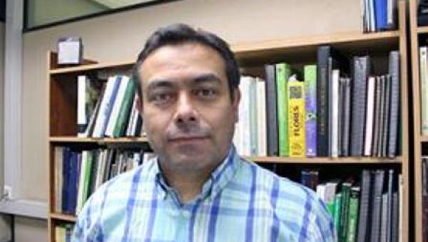 Estudio refuta hipótesis de Darwin sobre colonización de especies invasoras